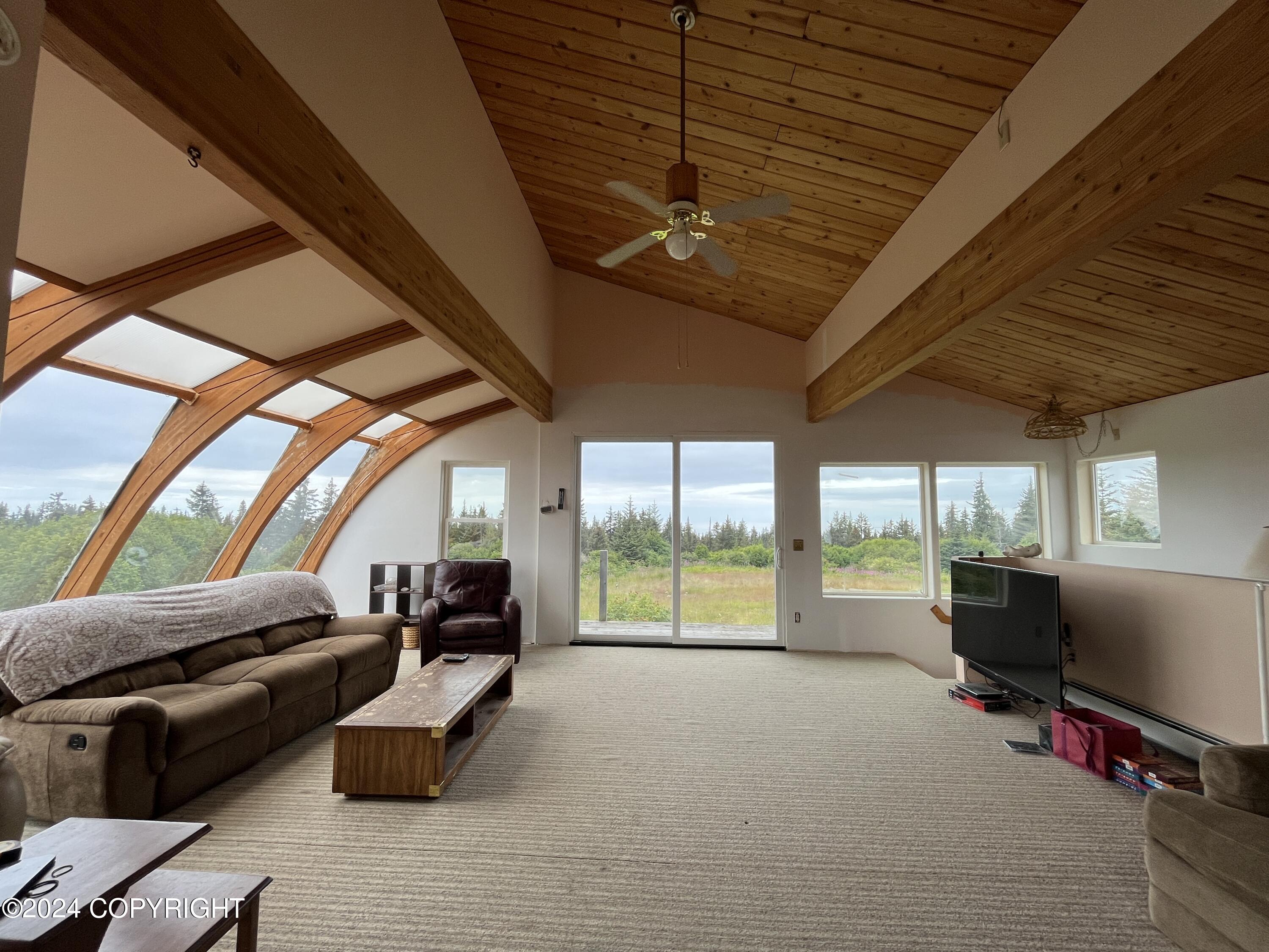 67835 Virginia Avenue, Homer, Alaska image 33