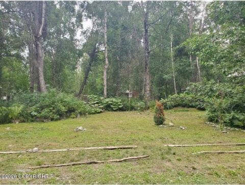 Vacant Land For Sale - 22107 S I Street<br/> Talkeetna, AK 99676