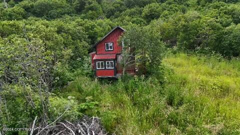 30035 Sterling Highway, Anchor Point, Alaska image 31