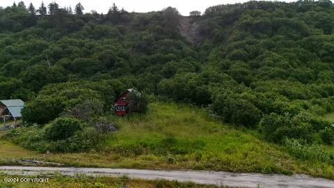 30035 Sterling Highway, Anchor Point, Alaska image 43