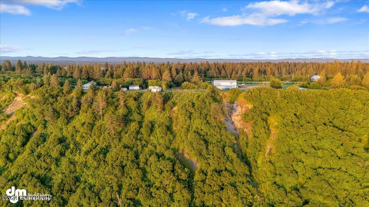 30035 Sterling Highway, Anchor Point, Alaska image 23