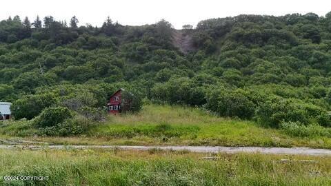 30035 Sterling Highway, Anchor Point, Alaska image 33