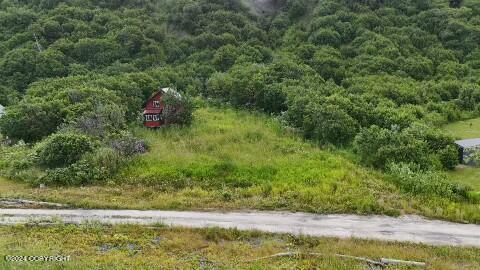 30035 Sterling Highway, Anchor Point, Alaska image 25
