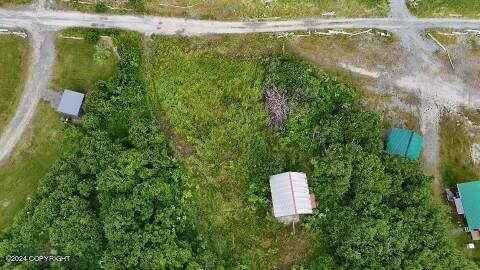 30035 Sterling Highway, Anchor Point, Alaska image 29