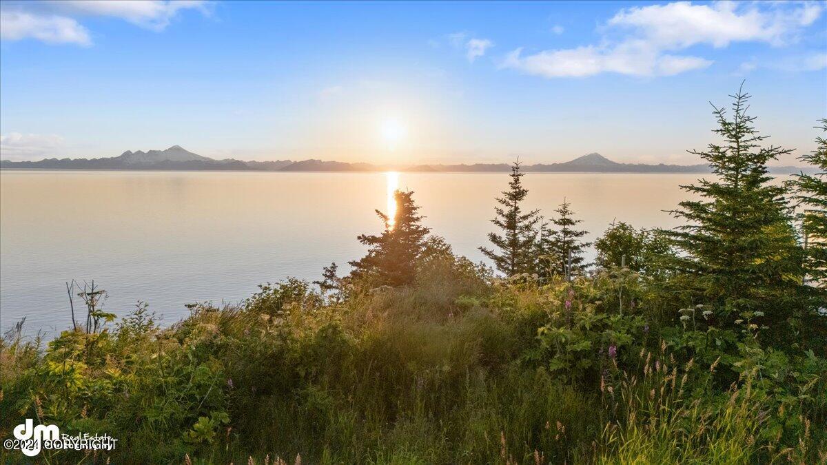 30035 Sterling Highway, Anchor Point, Alaska image 1