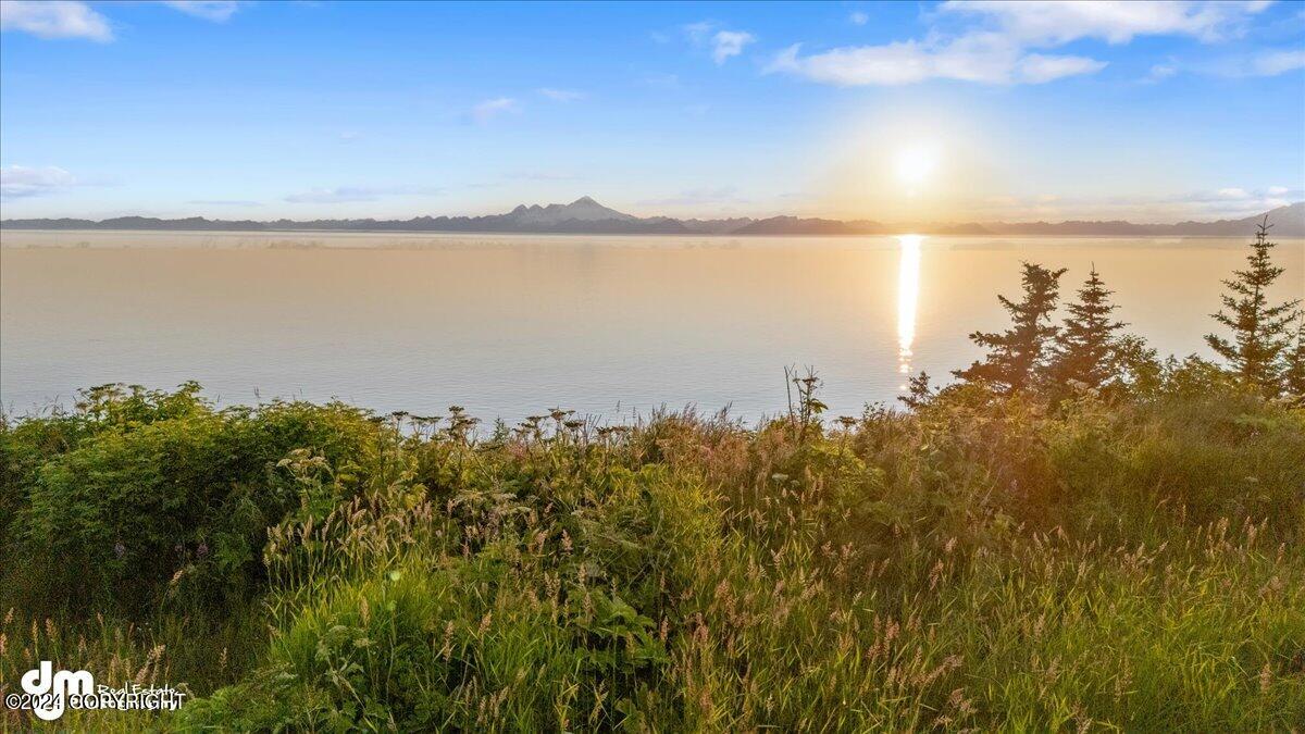30035 Sterling Highway, Anchor Point, Alaska image 16