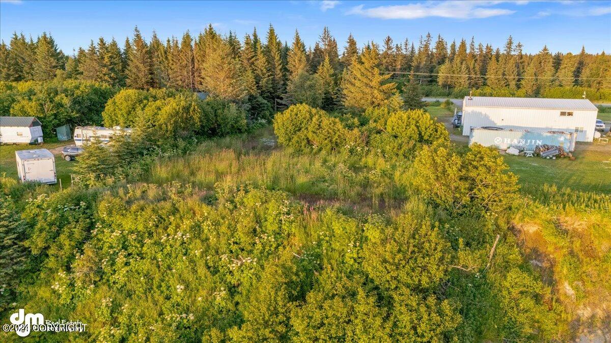 30035 Sterling Highway, Anchor Point, Alaska image 12