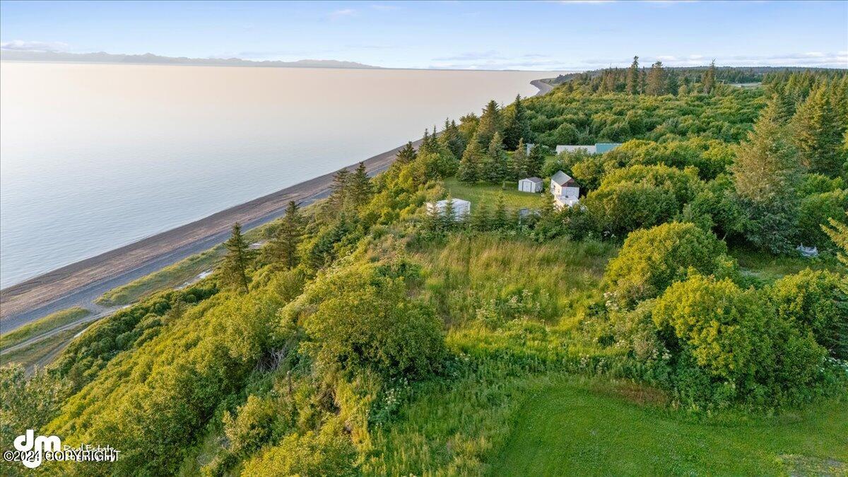 30035 Sterling Highway, Anchor Point, Alaska image 13