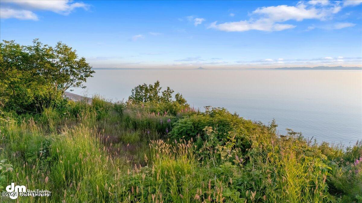 30035 Sterling Highway, Anchor Point, Alaska image 7