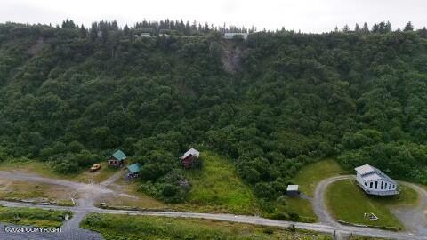 30035 Sterling Highway, Anchor Point, Alaska image 41