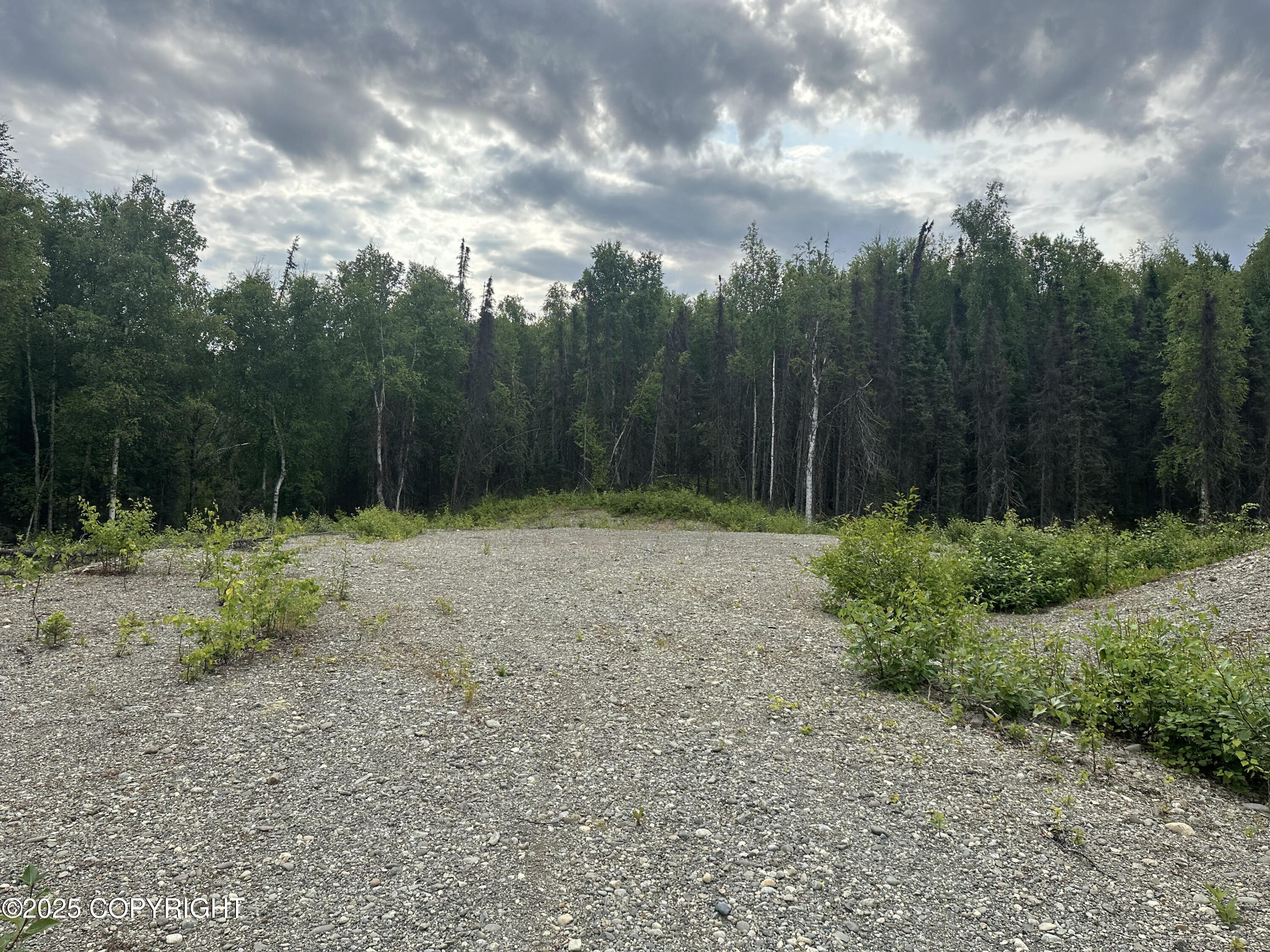 B004 Joye Road, Wasilla, Alaska image 7