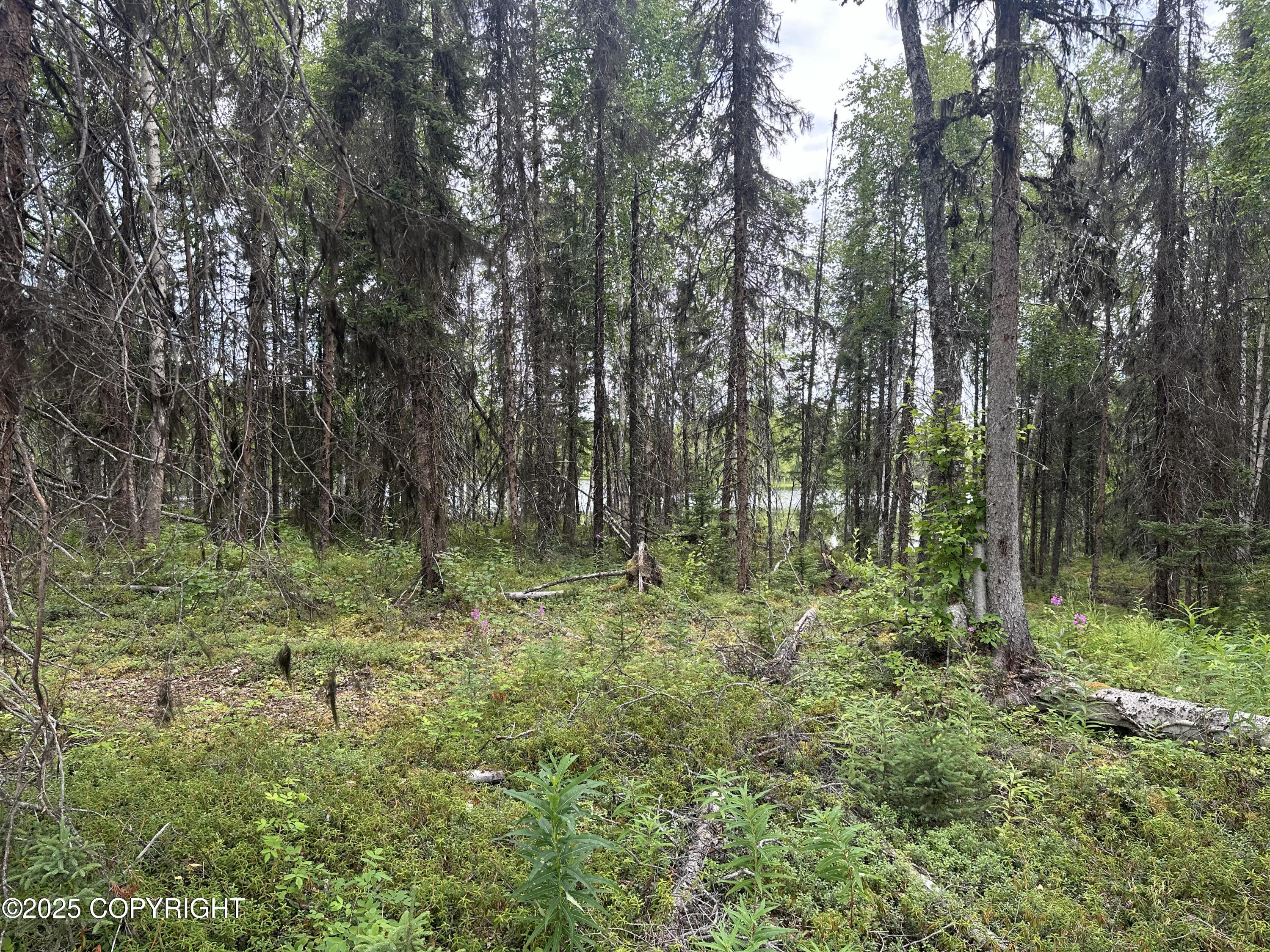 B004 Joye Road, Wasilla, Alaska image 8