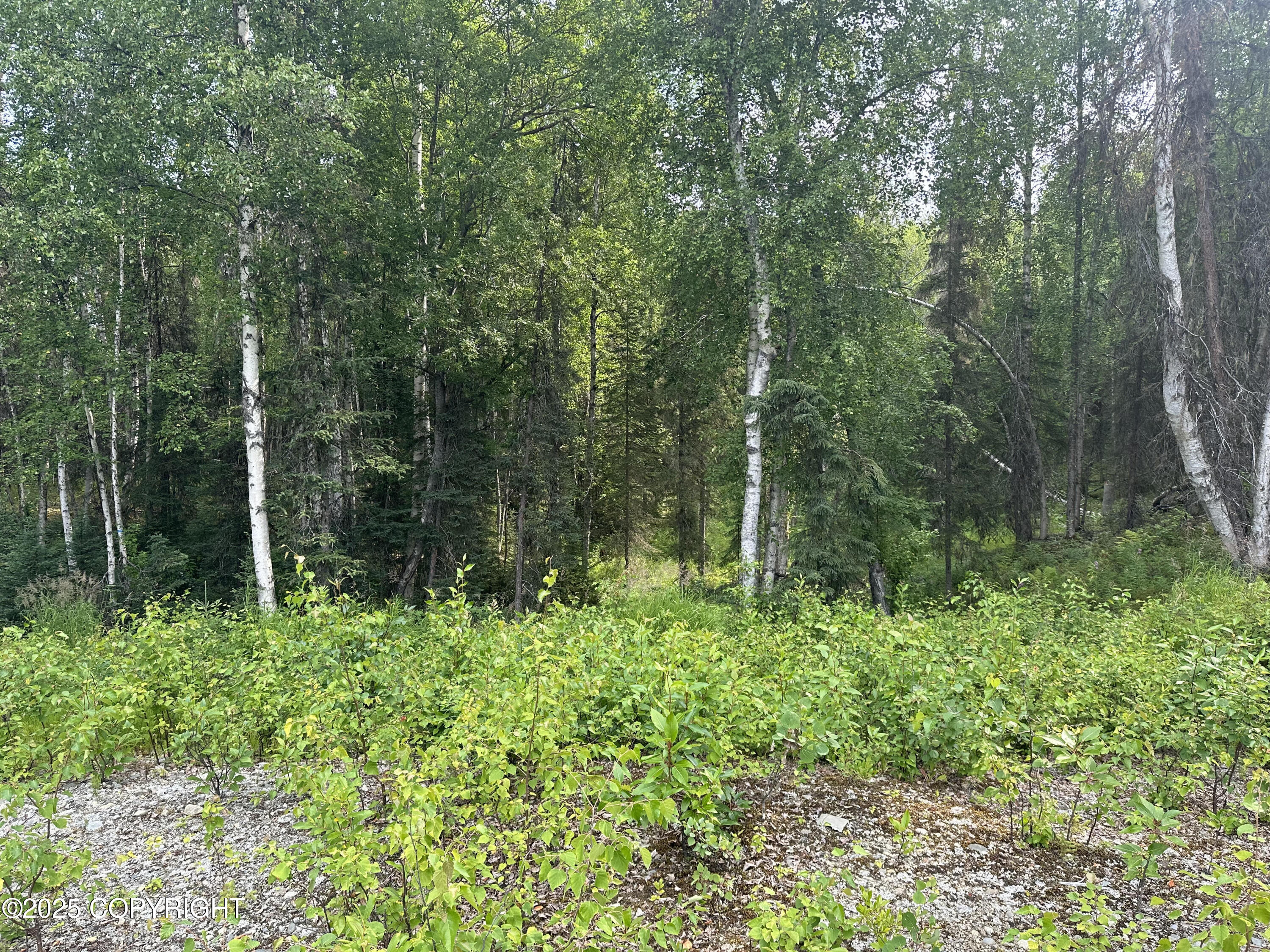 B004 Joye Road, Wasilla, Alaska image 4