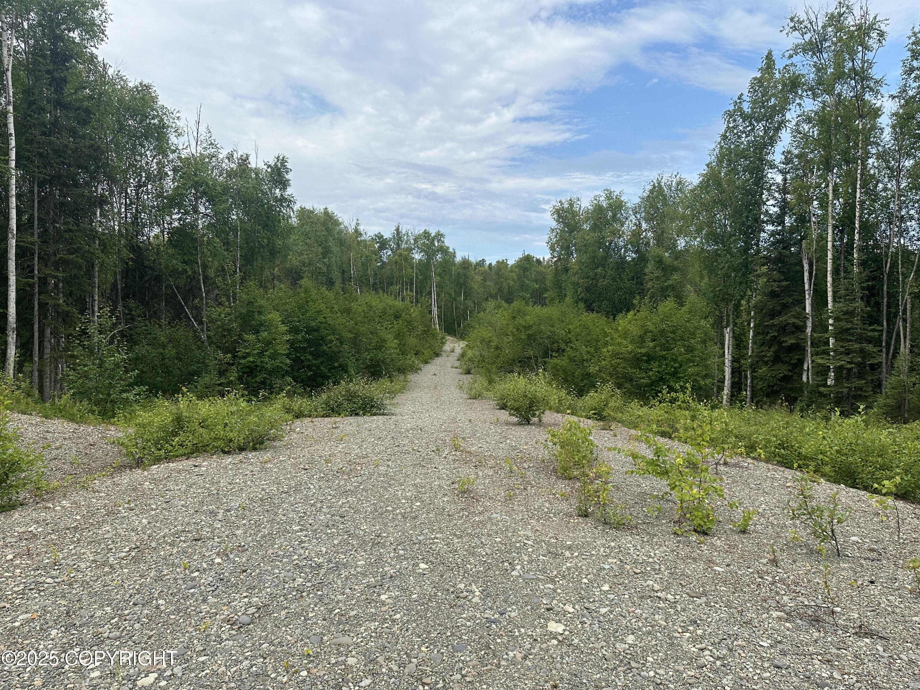 B004 Joye Road, Wasilla, Alaska image 9