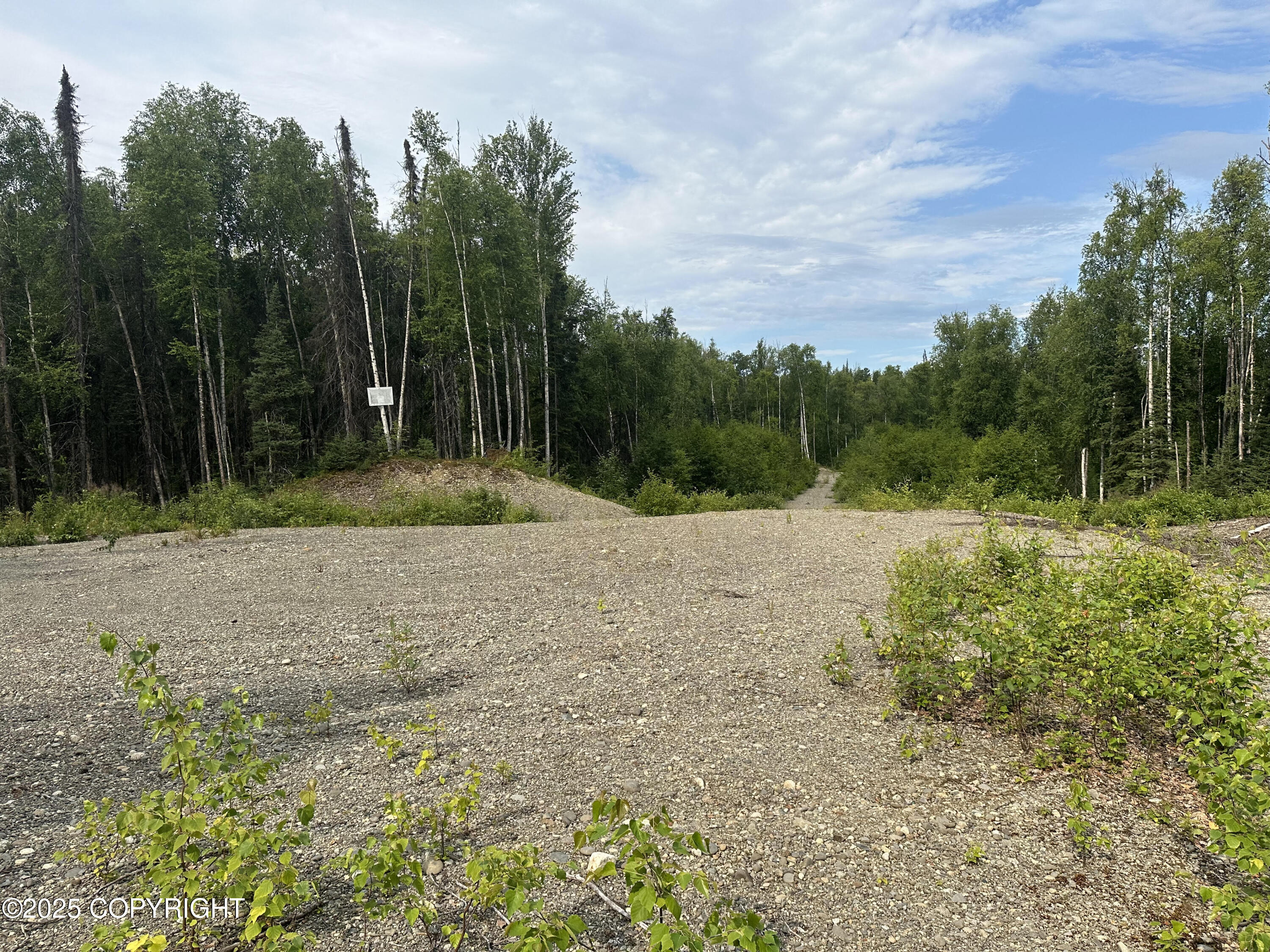 B004 Joye Road, Wasilla, Alaska image 6