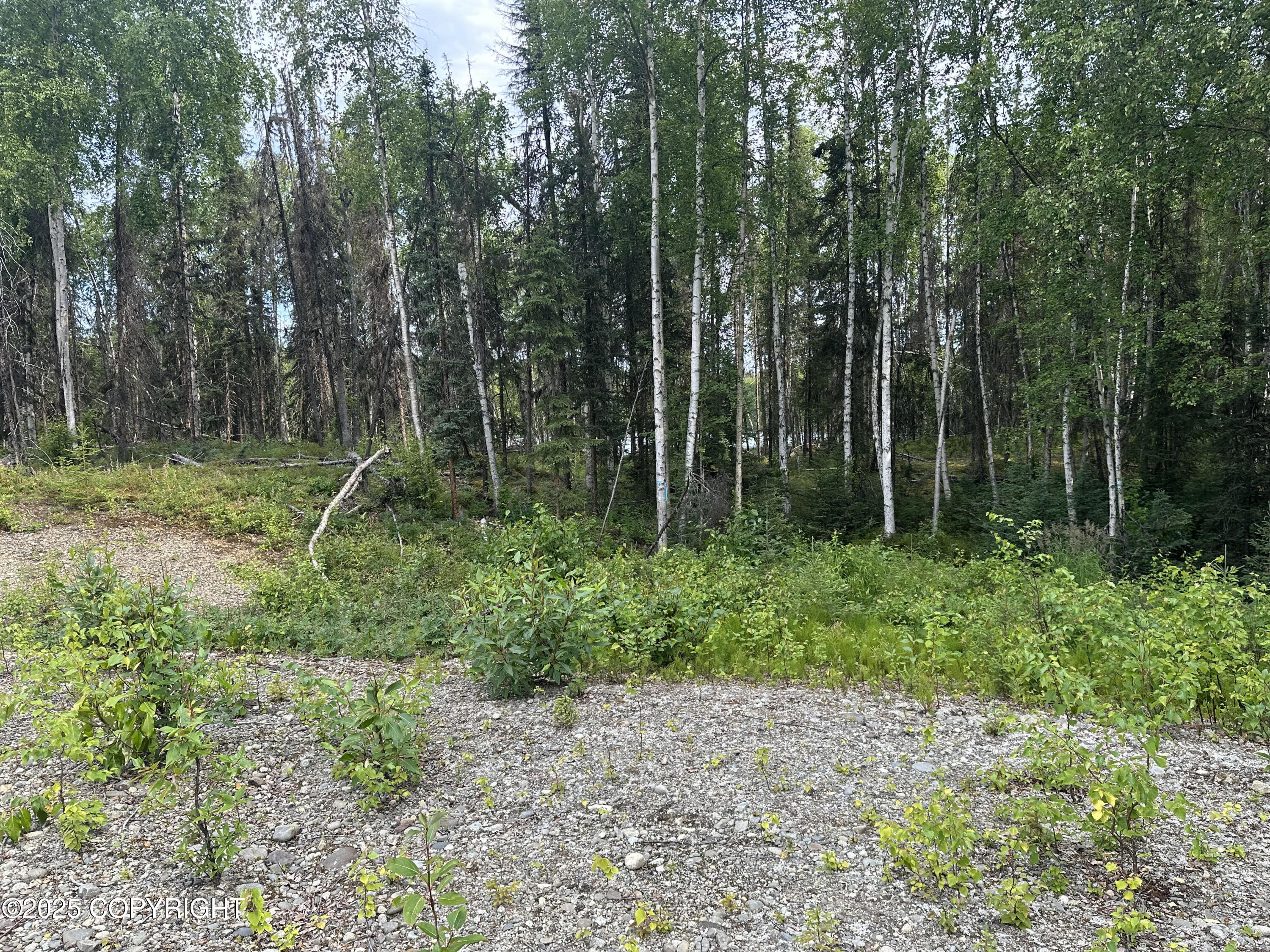 B004 Joye Road, Wasilla, Alaska image 5
