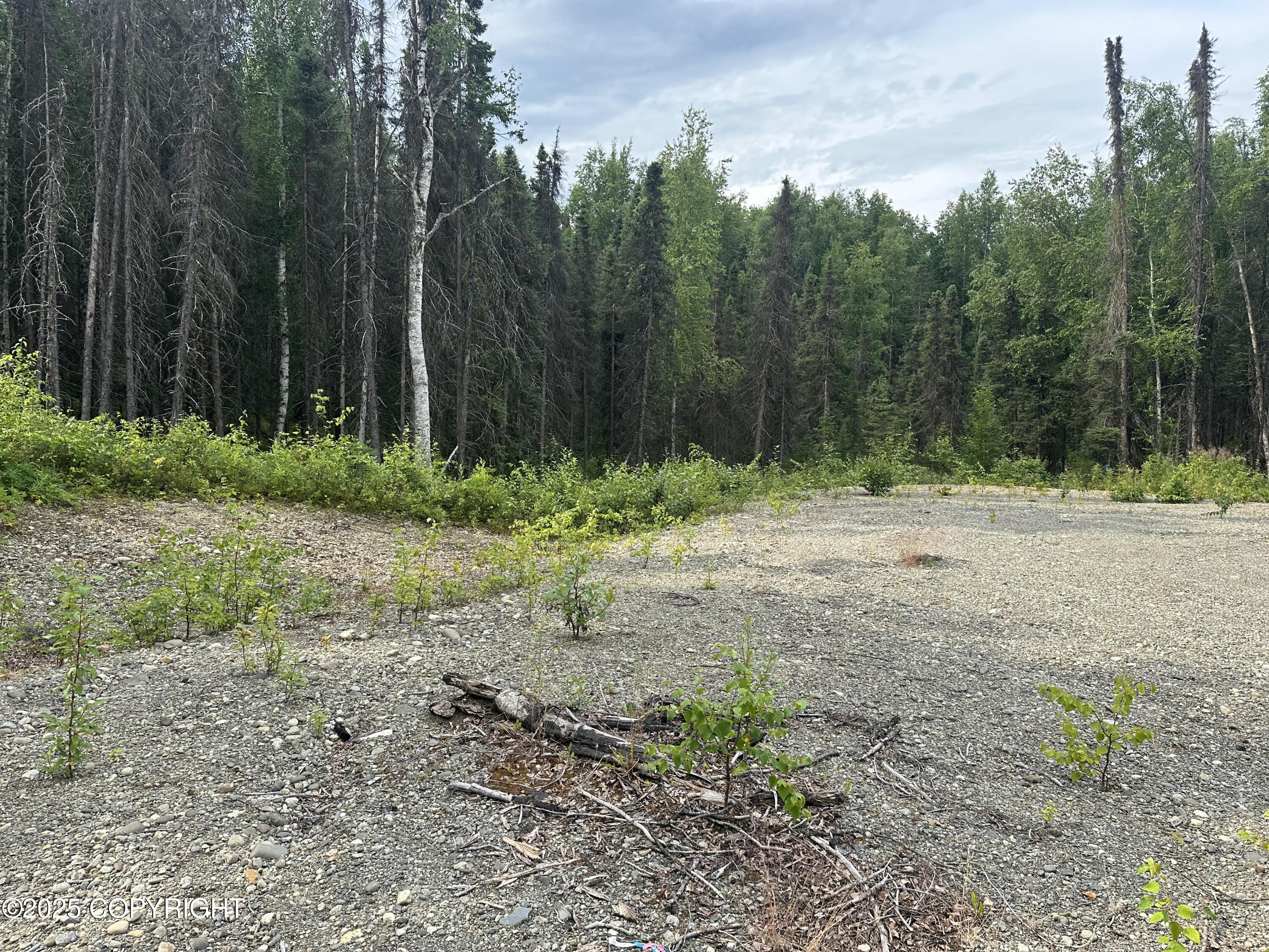 B004 Joye Road, Wasilla, Alaska image 3