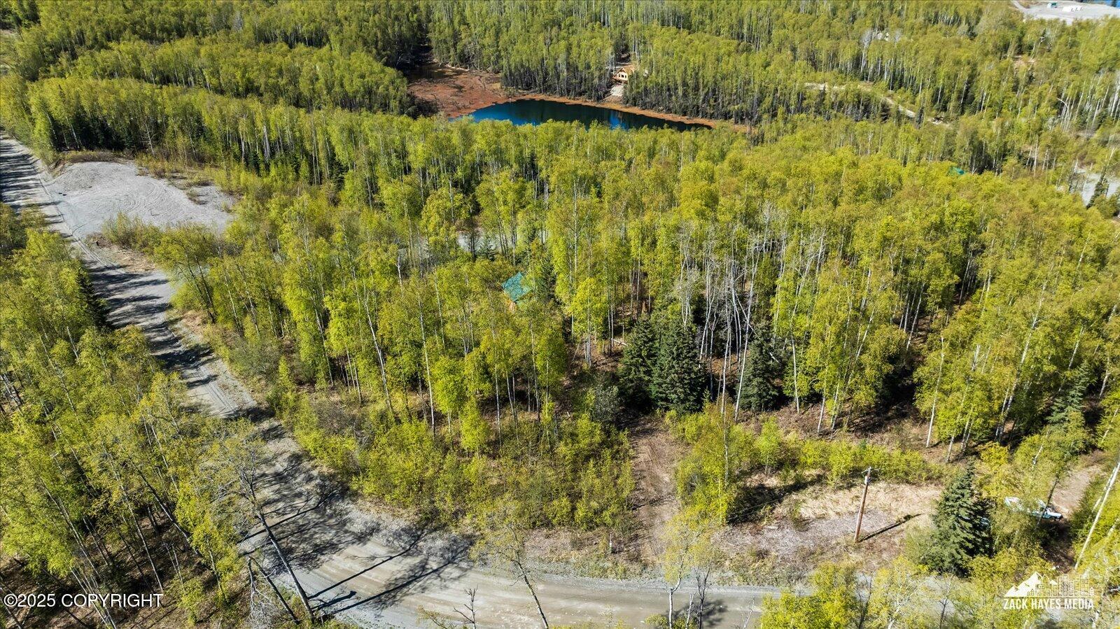 4658 S Burma Road, Big Lake, Alaska image 13