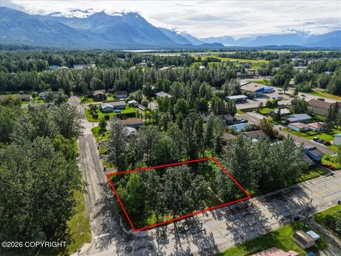 Vacant Land For Sale - 229 N Alaska Street<br/> Palmer, AK 99645