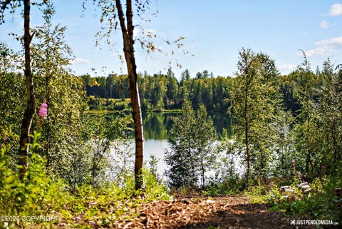 Vacant Land For Sale - 19374 E Old Village Street<br/> Willow, AK 99688