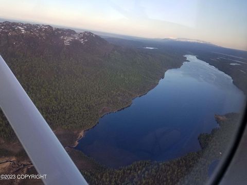 Vacant Land For Sale - L49B No Road<br/> Skwentna, AK 99667