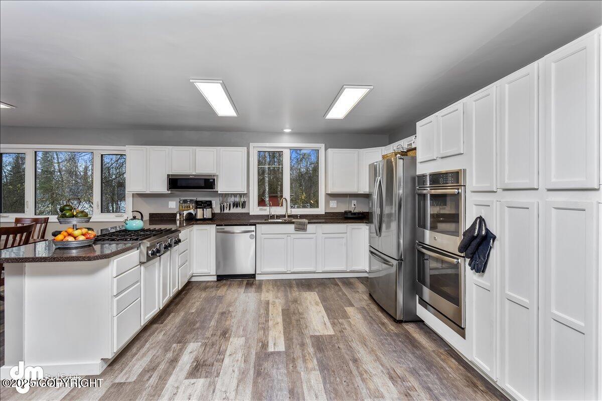 20533 White Birch Road, Chugiak, Idaho image 14