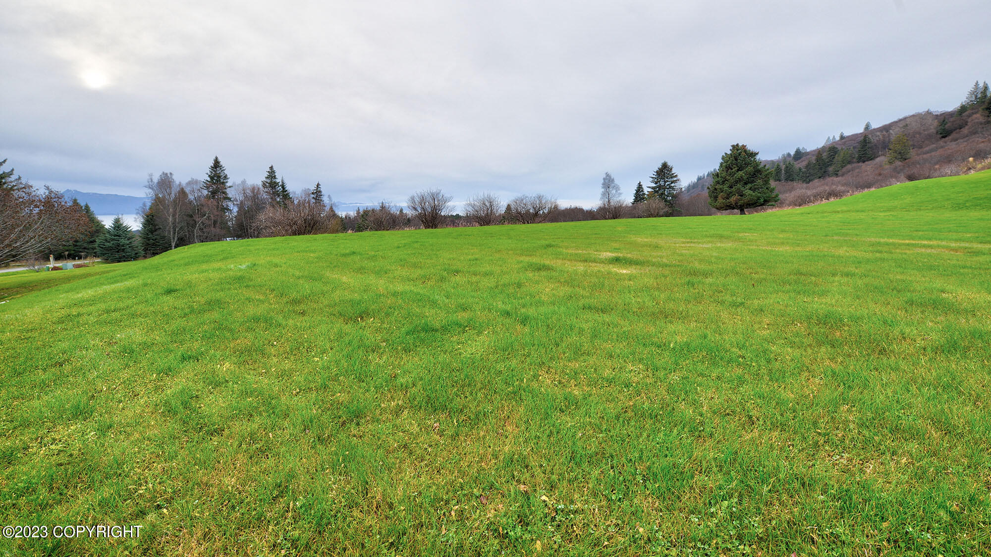 932 Quiet Creek Drive, Homer, Alaska image 29