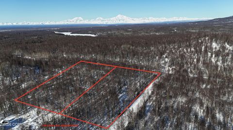 Vacant Land For Sale - 16874 E Birch Creek Boulevard<br/> Talkeetna, AK 99676