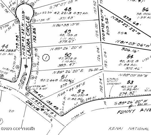 33080 Laura Jean Circle, Soldotna, Alaska image 3
