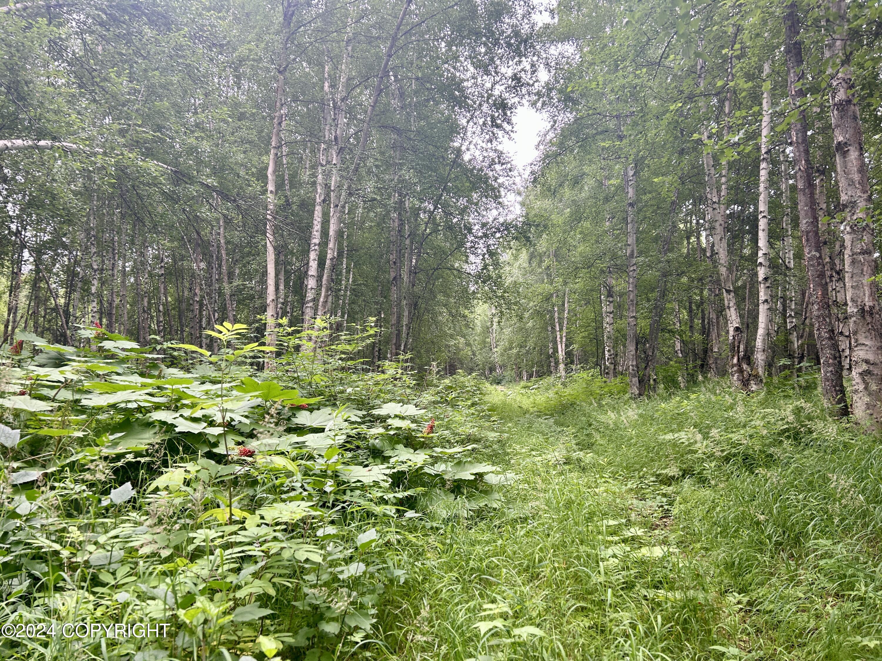 C002 W Willow Fishook Road, Willow, Alaska image 2