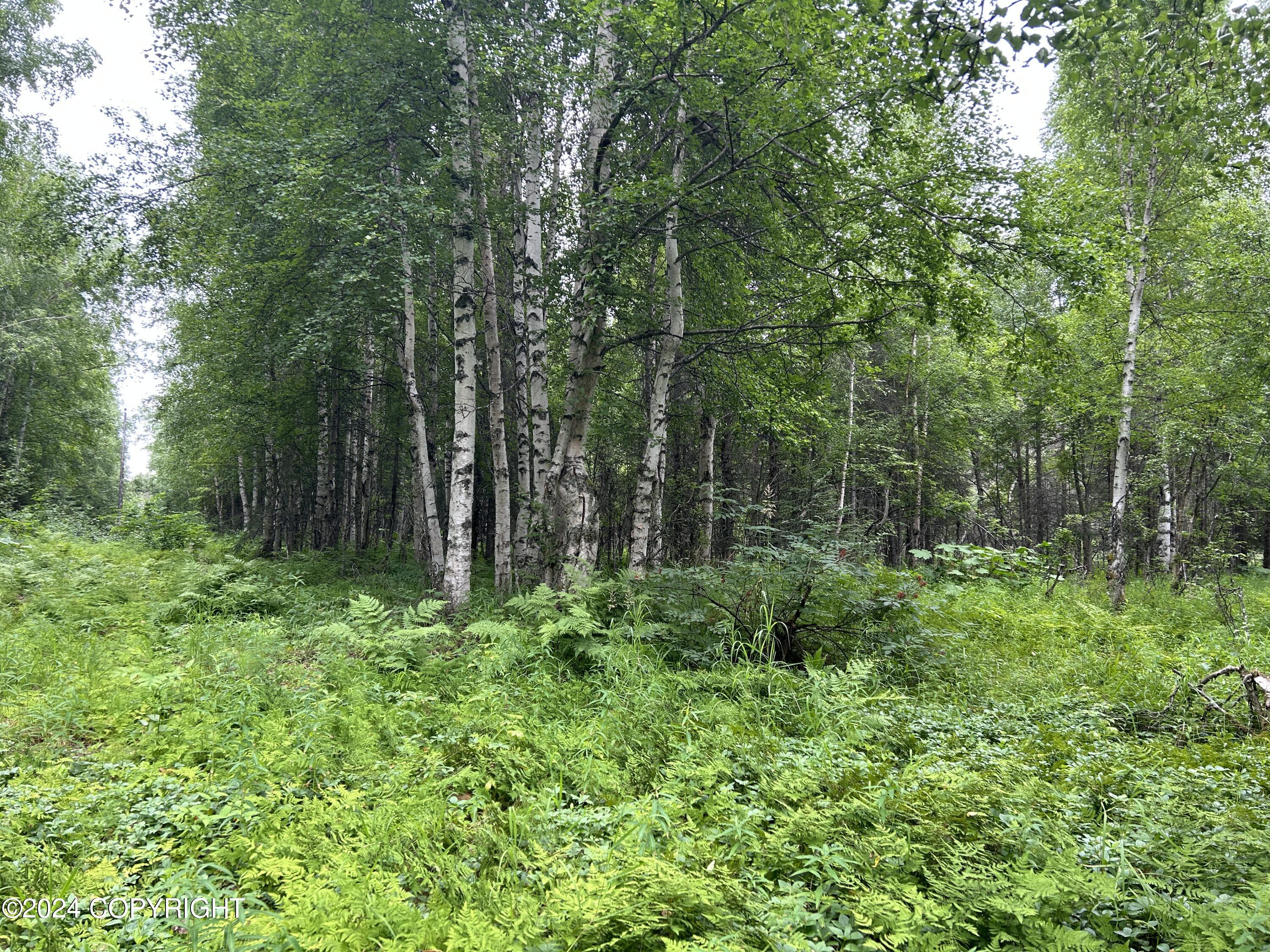 C002 W Willow Fishook Road, Willow, Alaska image 11