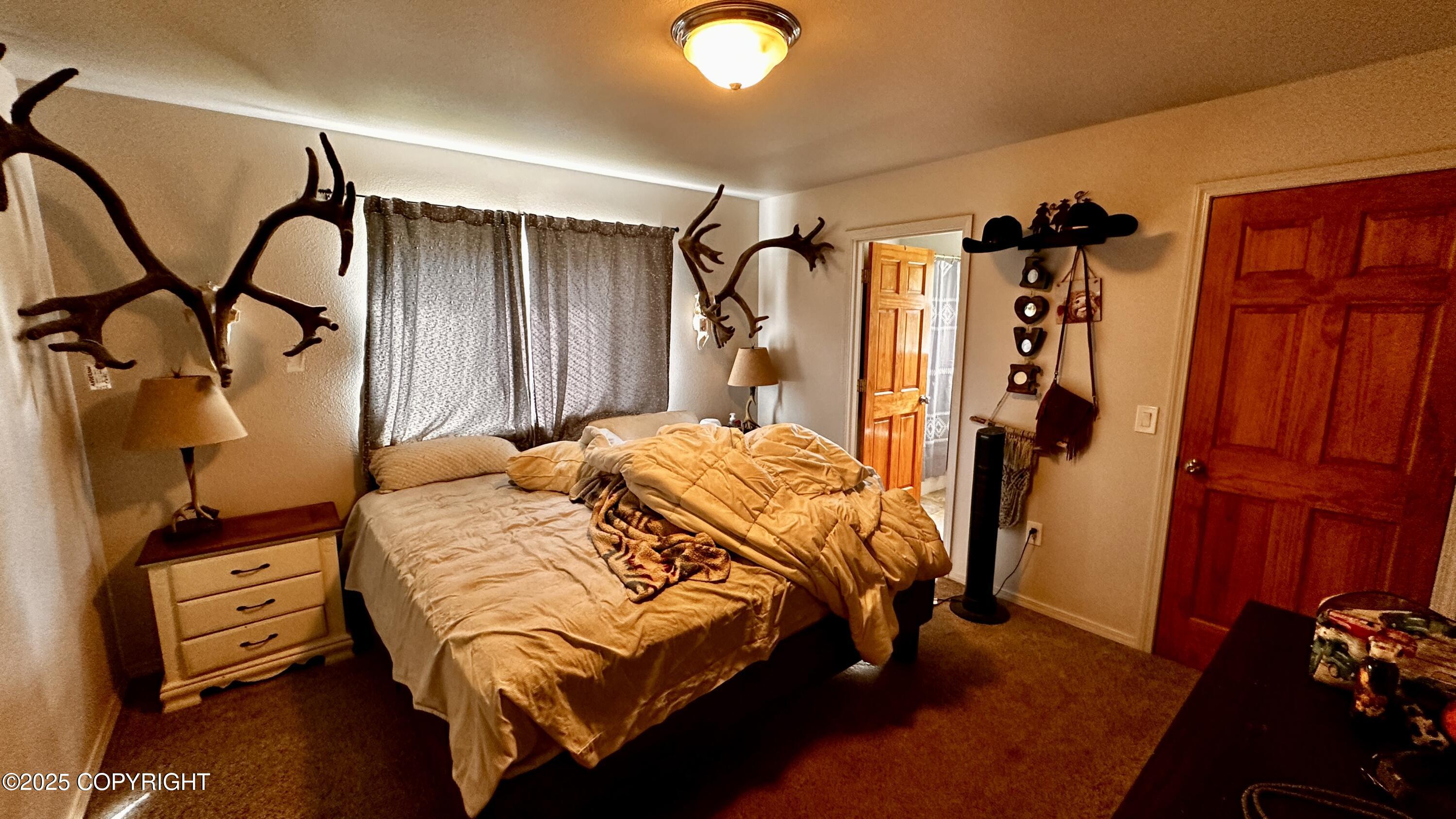 7191 S Yohn Bay Place, Wasilla, Alaska image 11