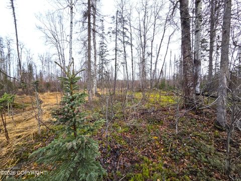 Photo of 17669 E Yeldarb Avenue, Talkeetna, AK 99676 (MLS # 26-4813)