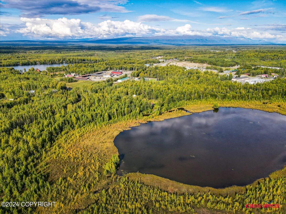 15590 W Northshore Drive, Big Lake, Alaska image 12