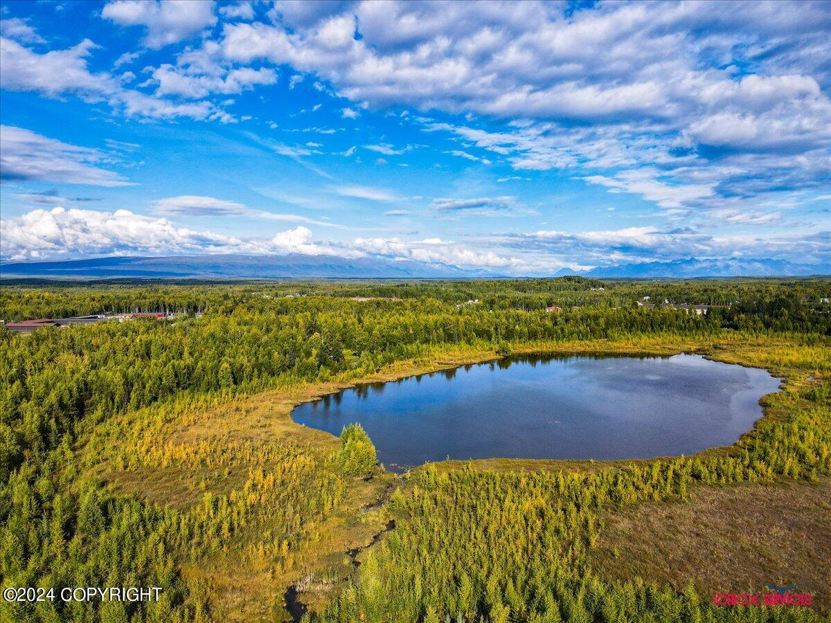 15590 W Northshore Drive, Big Lake, Alaska image 11