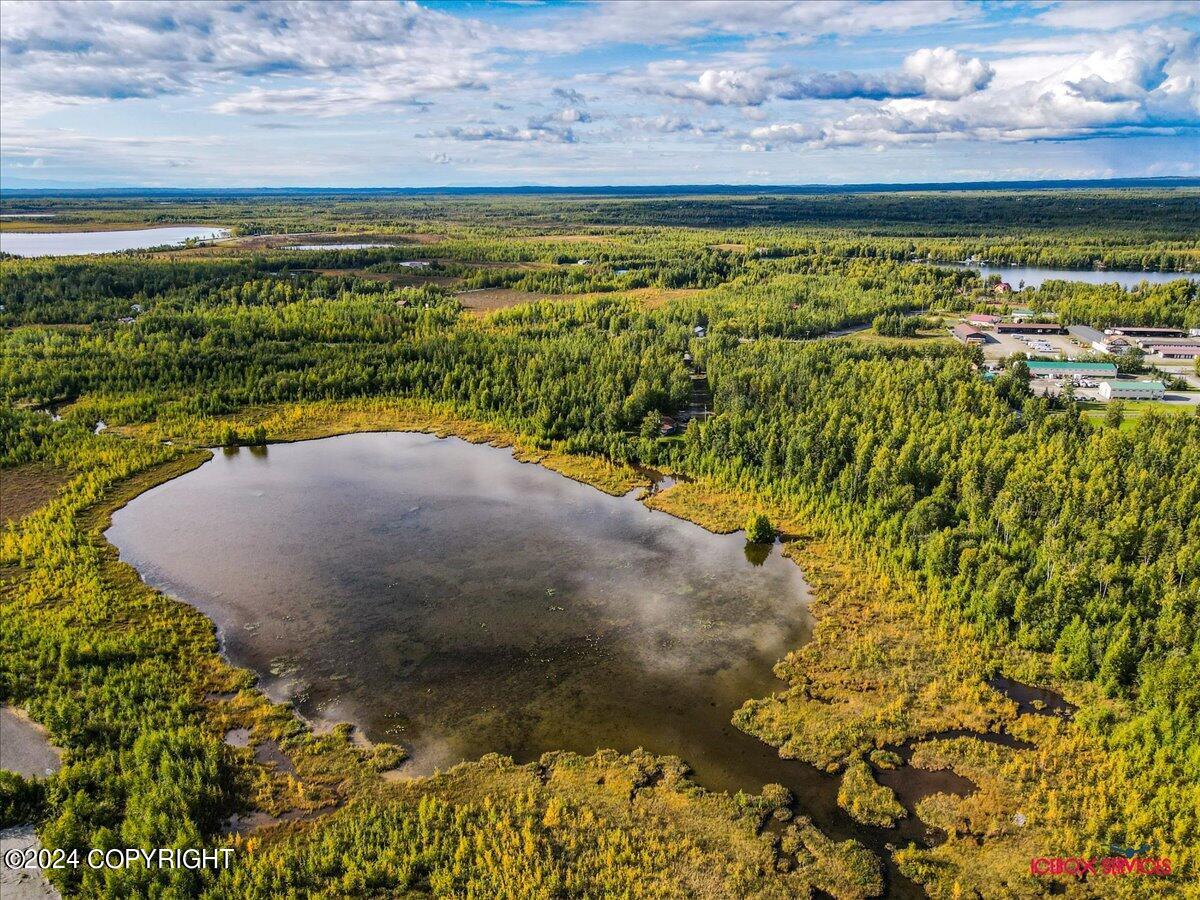15590 W Northshore Drive, Big Lake, Alaska image 15
