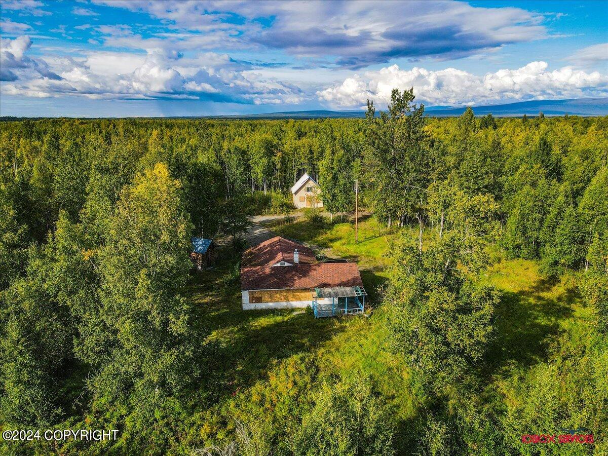 15590 W Northshore Drive, Big Lake, Alaska image 1