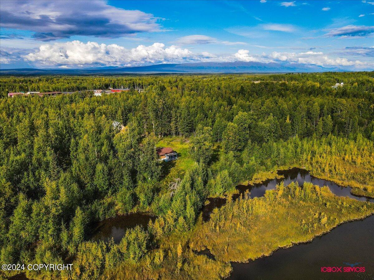 15590 W Northshore Drive, Big Lake, Alaska image 7