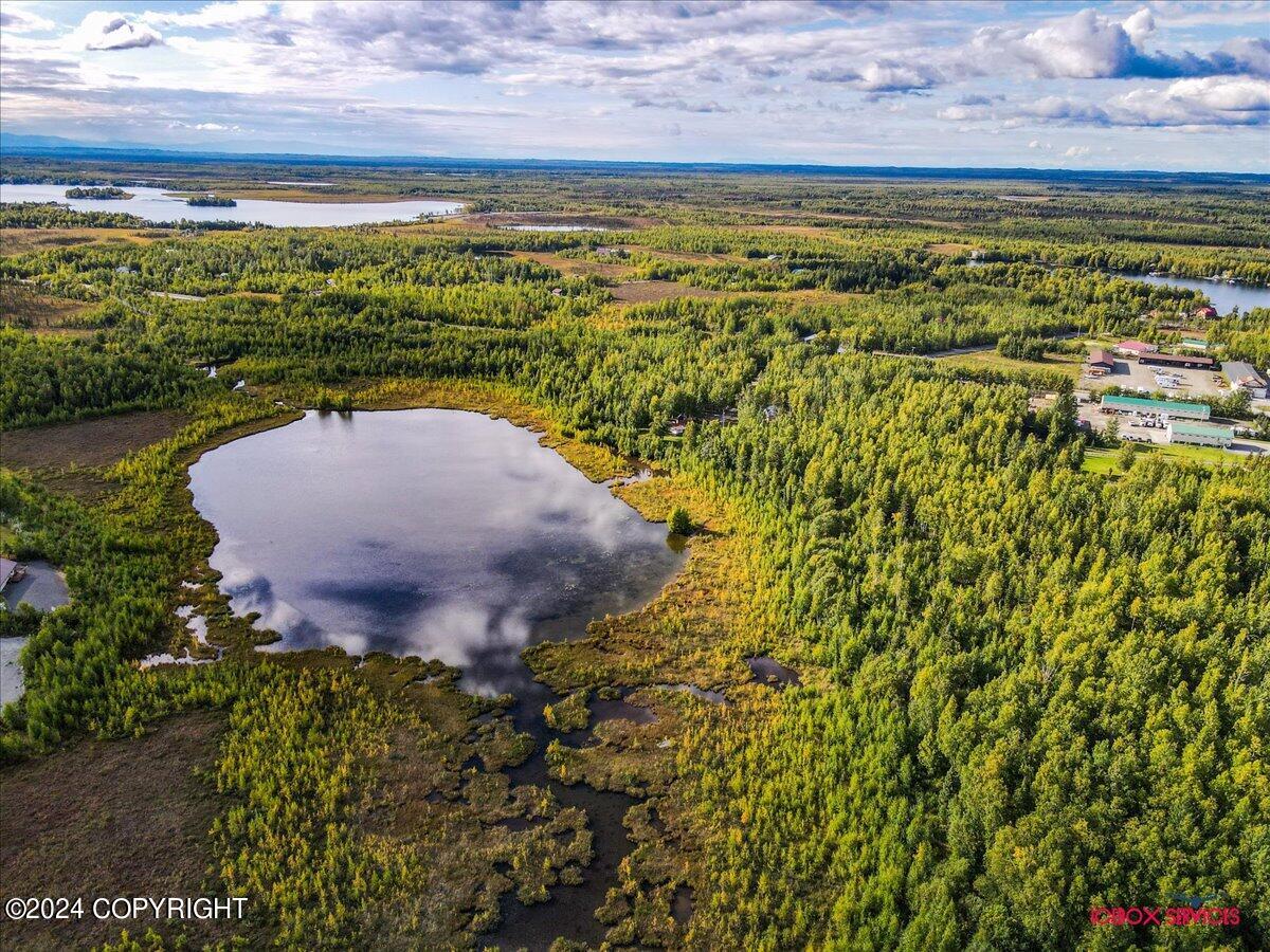 15590 W Northshore Drive, Big Lake, Alaska image 22
