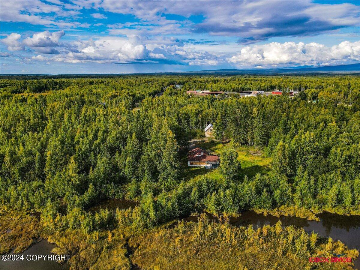 15590 W Northshore Drive, Big Lake, Alaska image 8