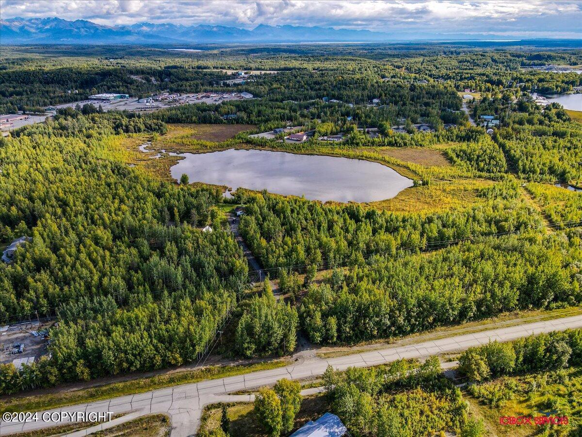 15590 W Northshore Drive, Big Lake, Alaska image 16