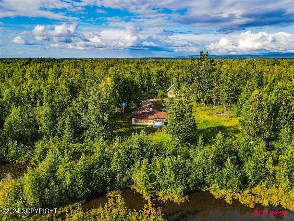 15590 W Northshore Drive, Big Lake, Alaska image 3
