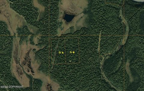 Vacant Land For Sale - TR A&B Lake Creek (no Road)<br/> Trapper Creek, AK 99683