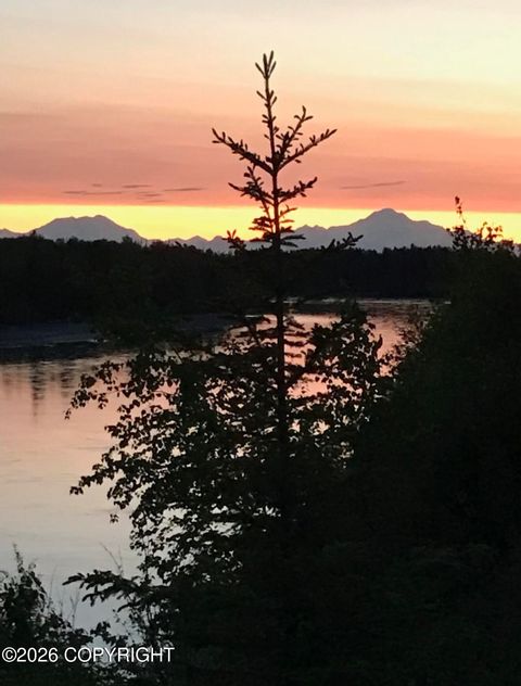 Homes For Sale - NO ROAD Yentna River<br/> Skwentna, AK 99688