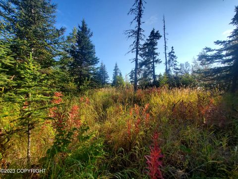 Vacant Land For Sale - 64195 Bolotna Road<br/> Nikolaevsk, AK 99556
