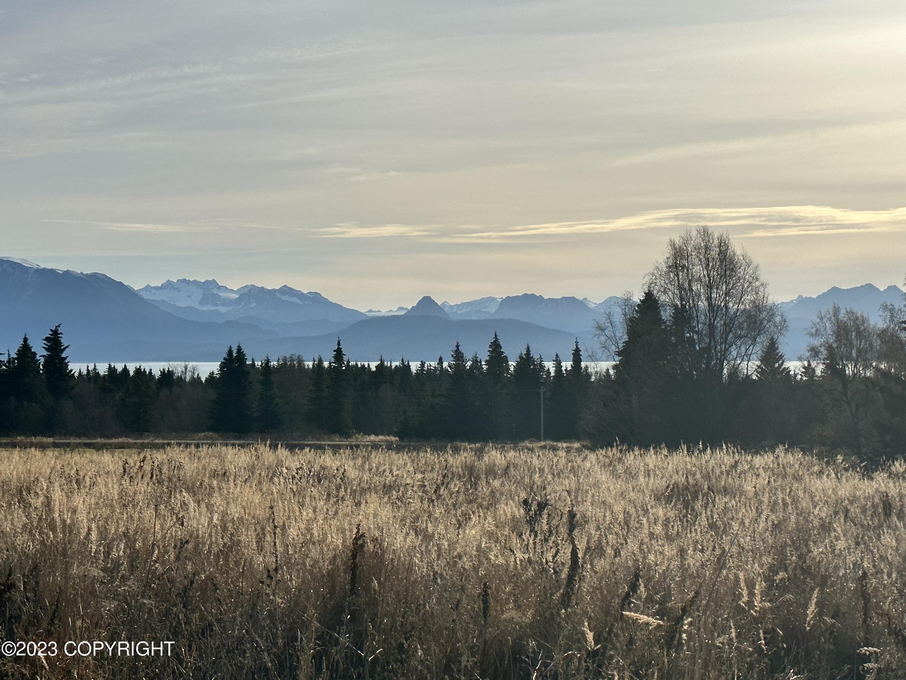56911 Stormy Petrel Court, Homer, Alaska image 2