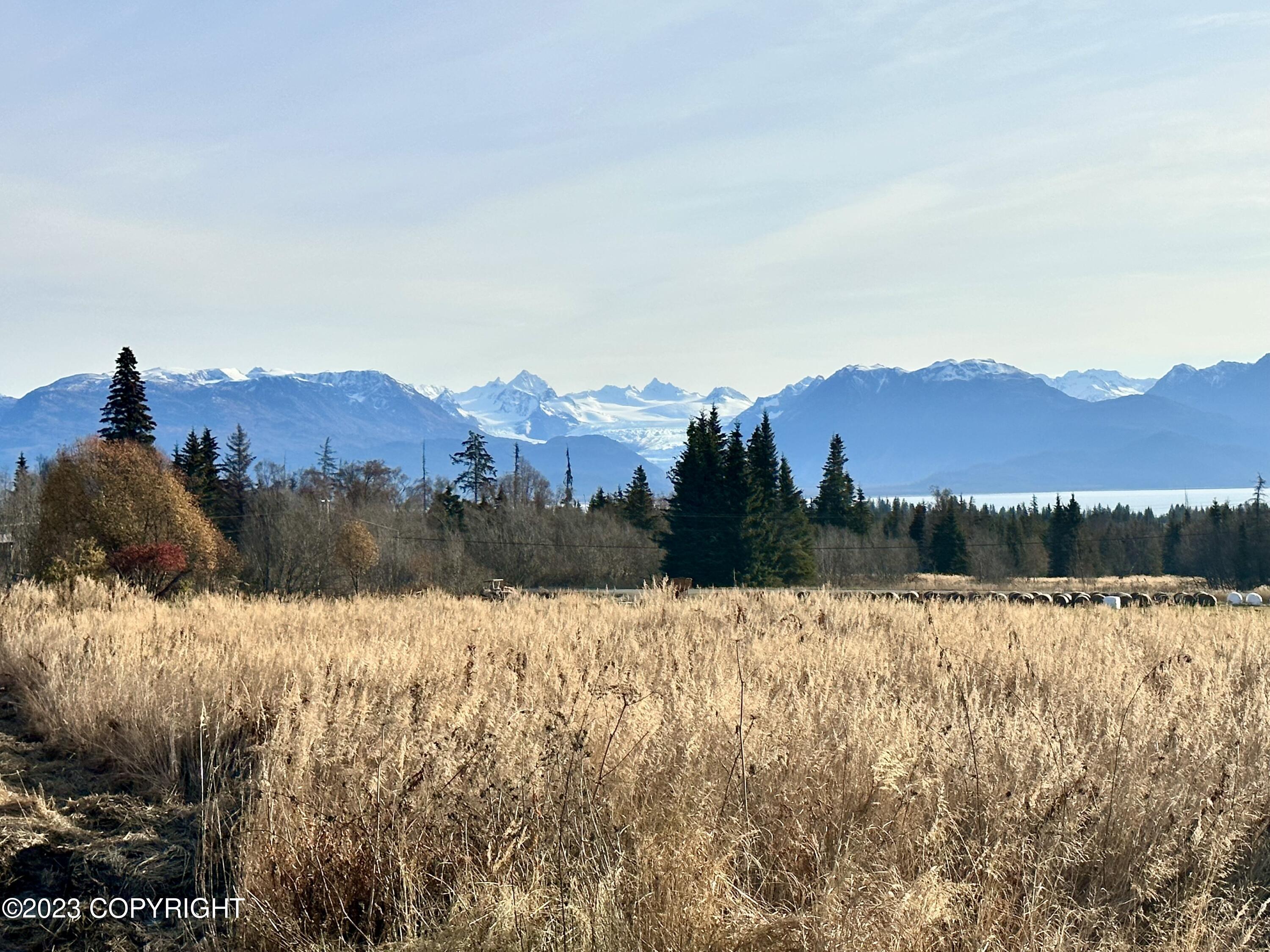 56911 Stormy Petrel Court, Homer, Alaska image 12