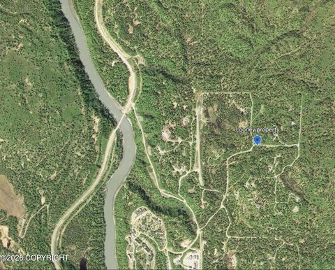 Photo of A014 E Chief Nicolai Lane, Talkeetna, AK 99676 (MLS # 26-5002)