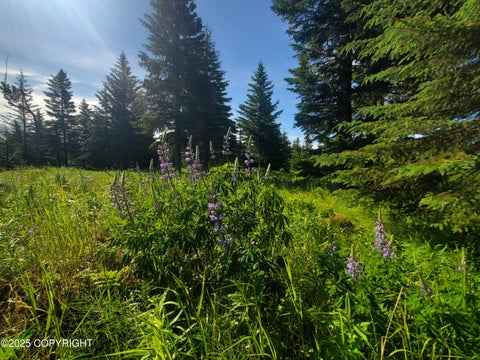 Vacant Land For Sale - 17528 Chefornak Street<br/> Ninilchik, AK 99639