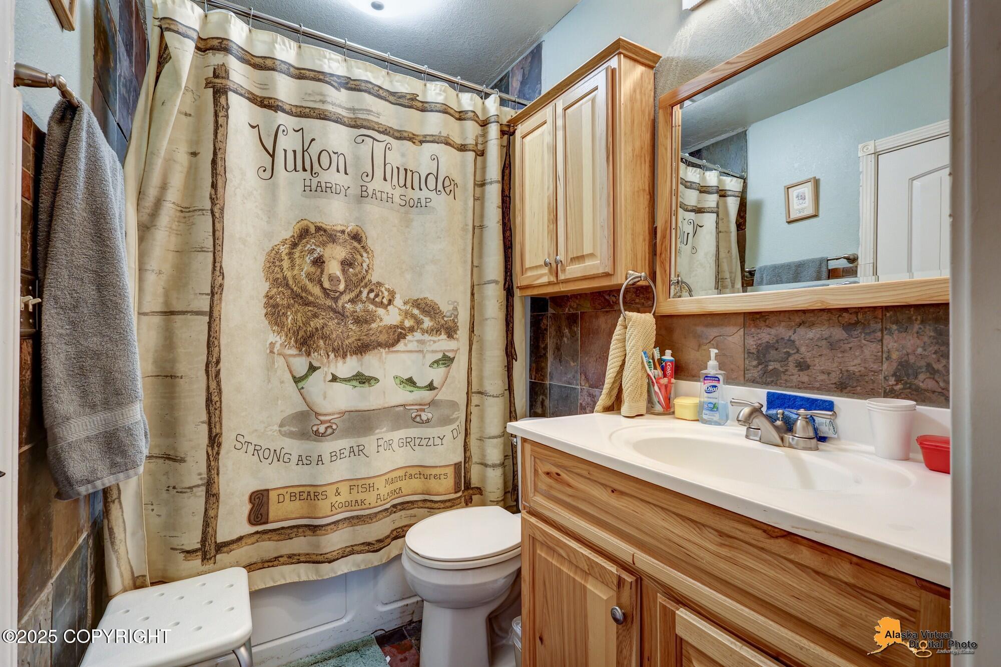3160 W Riverdell Drive, Wasilla, Alaska image 12